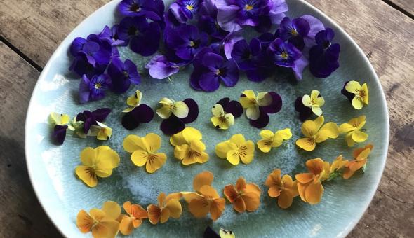 Flowers on plate