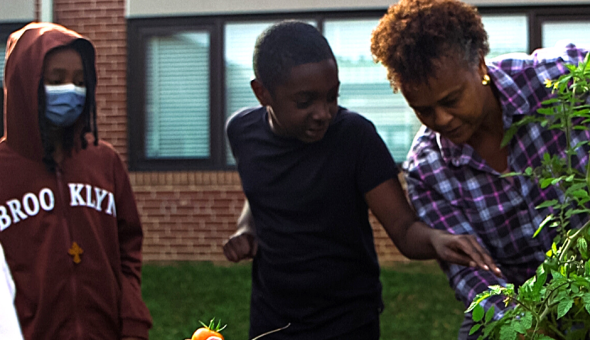 2 students inspect a plant alongside a teacher in their school's garden