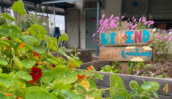 Field Elementary school garden in San Diego